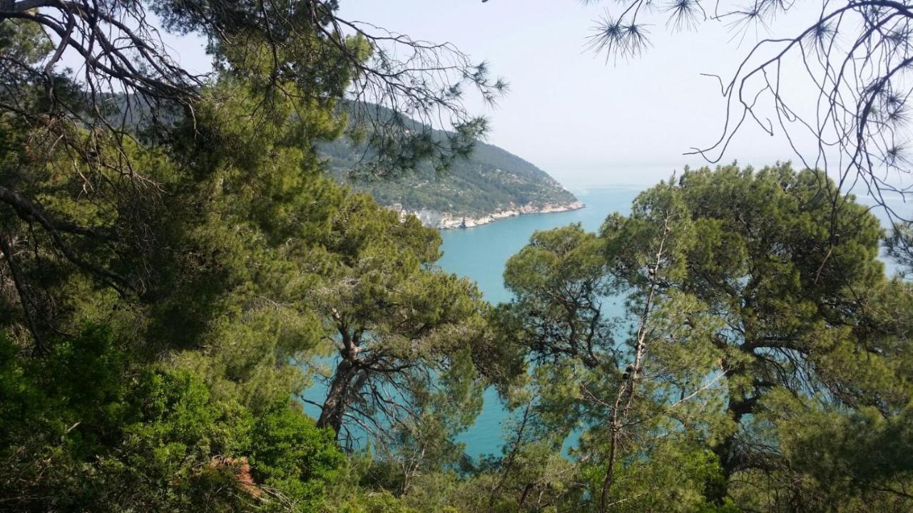 Olive&Sea Villa-Sea Mattinata Eksteriør bilde