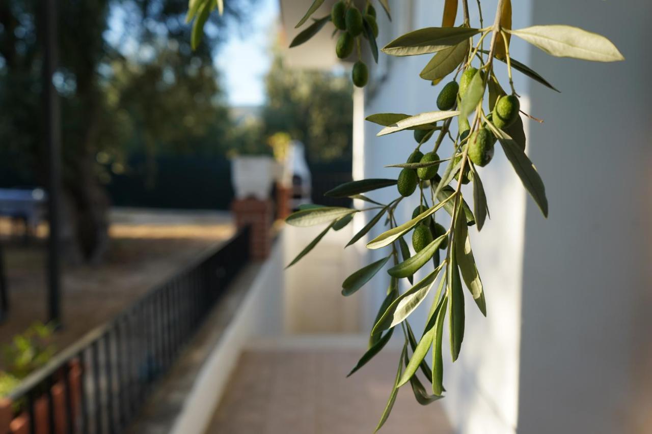 Olive&Sea Villa-Sea Mattinata Eksteriør bilde