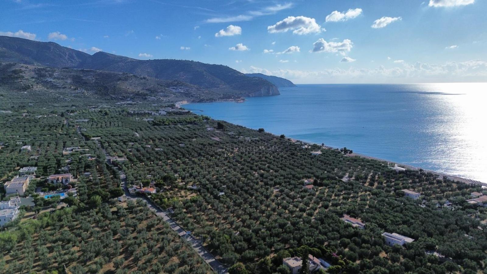 Olive&Sea Villa-Sea Mattinata Eksteriør bilde